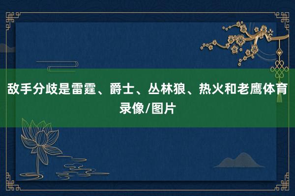 敌手分歧是雷霆、爵士、丛林狼、热火和老鹰体育录像/图片