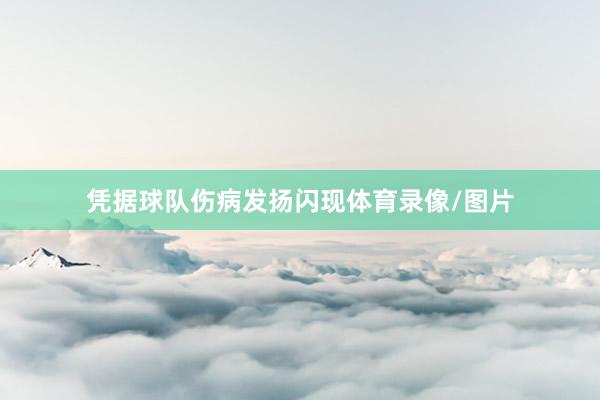 凭据球队伤病发扬闪现体育录像/图片