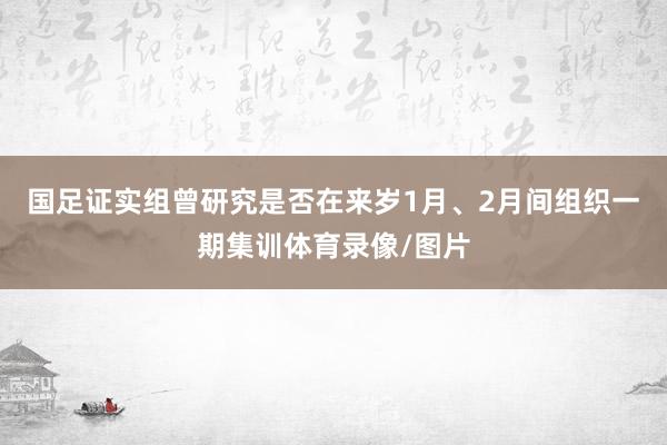 国足证实组曾研究是否在来岁1月、2月间组织一期集训体育录像/图片
