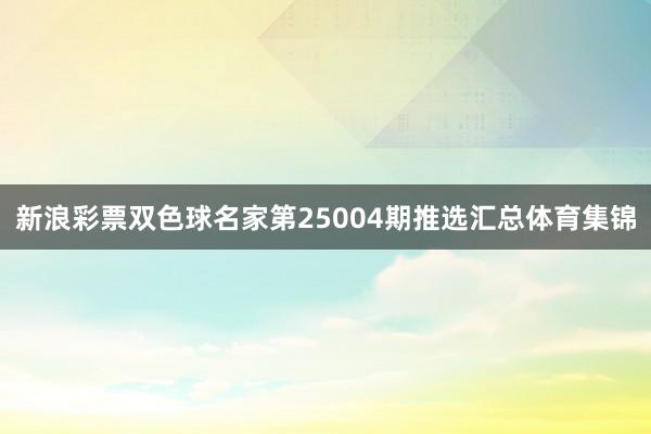 新浪彩票双色球名家第25004期推选汇总体育集锦