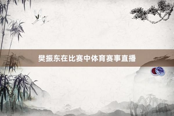 樊振东在比赛中体育赛事直播