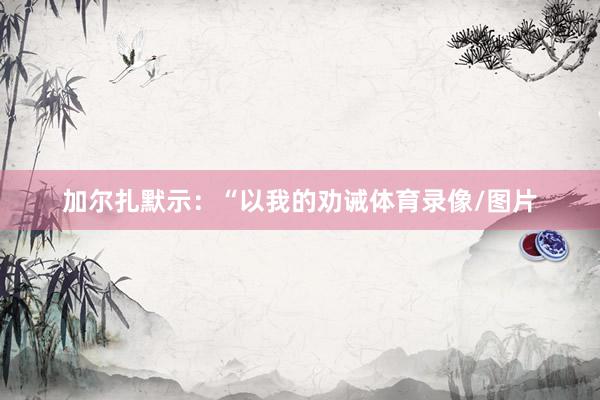 加尔扎默示：“以我的劝诫体育录像/图片