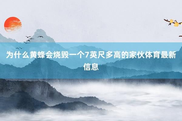 为什么黄蜂会烧毁一个7英尺多高的家伙体育最新信息