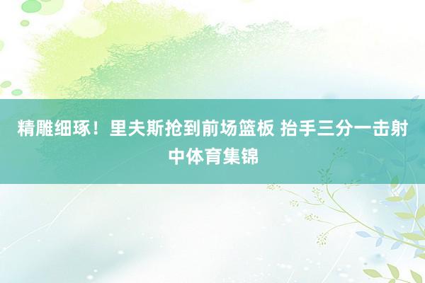 精雕细琢！里夫斯抢到前场篮板 抬手三分一击射中体育集锦