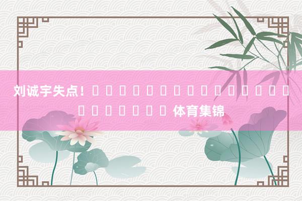 刘诚宇失点！																						体育集锦