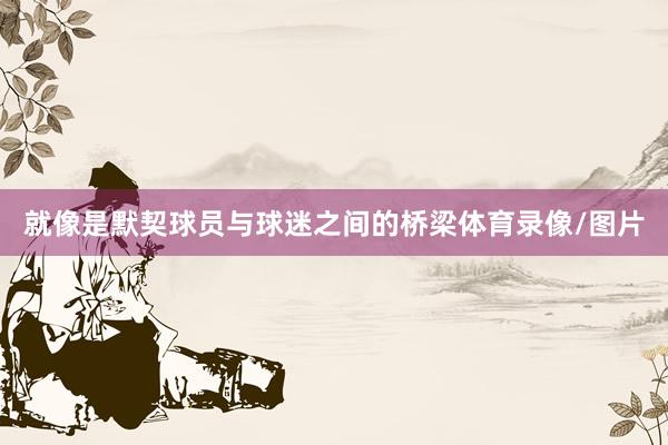 就像是默契球员与球迷之间的桥梁体育录像/图片