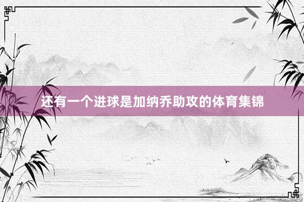 还有一个进球是加纳乔助攻的体育集锦