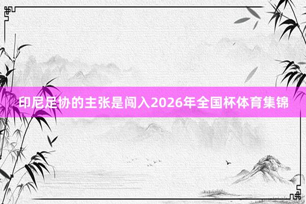 印尼足协的主张是闯入2026年全国杯体育集锦