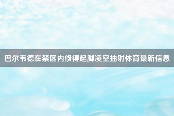 巴尔韦德在禁区内倏得起脚凌空抽射体育最新信息