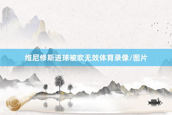 维尼修斯进球被吹无效体育录像/图片