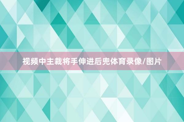 视频中主裁将手伸进后兜体育录像/图片