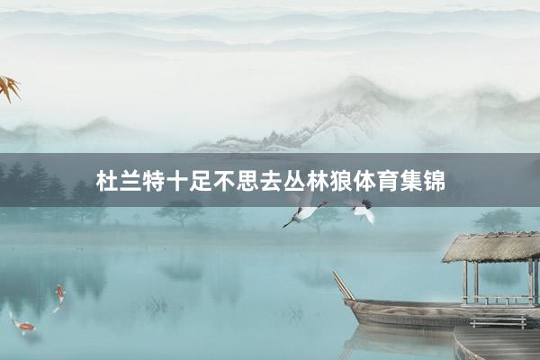杜兰特十足不思去丛林狼体育集锦