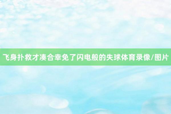 飞身扑救才凑合幸免了闪电般的失球体育录像/图片