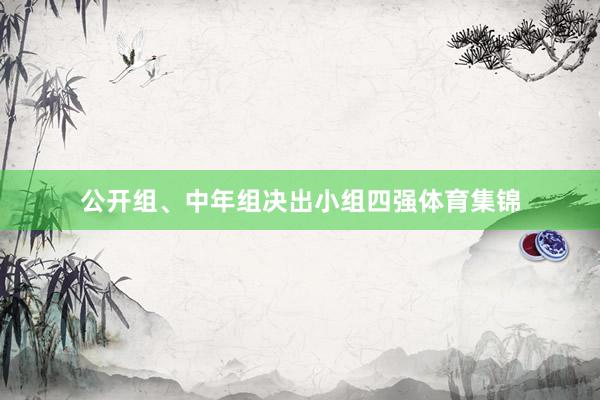 公开组、中年组决出小组四强体育集锦