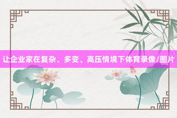 让企业家在复杂、多变、高压情境下体育录像/图片