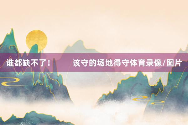 谁都缺不了！        该守的场地得守体育录像/图片