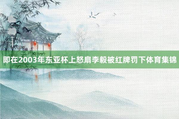 即在2003年东亚杯上怒扇李毅被红牌罚下体育集锦