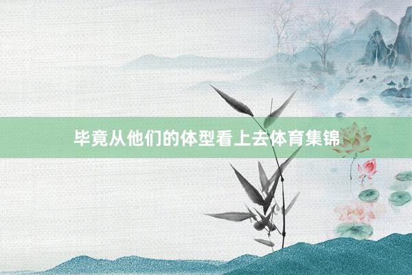 毕竟从他们的体型看上去体育集锦