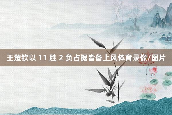 王楚钦以 11 胜 2 负占据皆备上风体育录像/图片