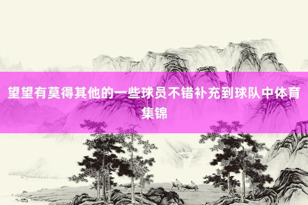 望望有莫得其他的一些球员不错补充到球队中体育集锦