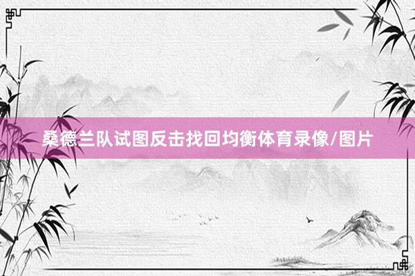 桑德兰队试图反击找回均衡体育录像/图片