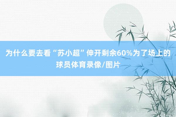 为什么要去看“苏小超”伸开剩余60%为了场上的球员体育录像/图片