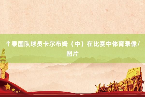 ↑泰国队球员卡尔布姆（中）在比赛中体育录像/图片