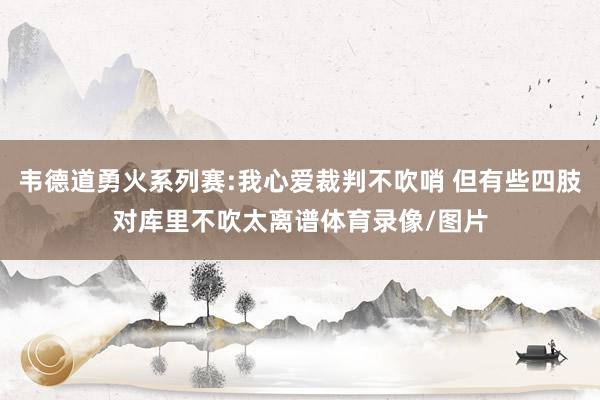 韦德道勇火系列赛:我心爱裁判不吹哨 但有些四肢对库里不吹太离谱体育录像/图片