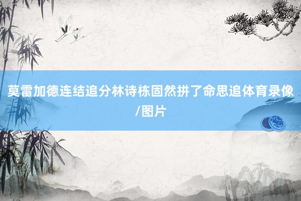 莫雷加德连结追分林诗栋固然拼了命思追体育录像/图片