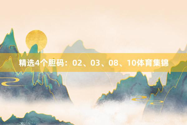 精选4个胆码:02、03、08、10体育集锦