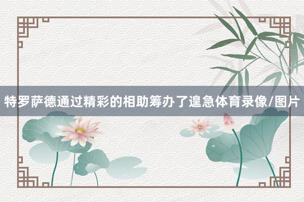特罗萨德通过精彩的相助筹办了遑急体育录像/图片