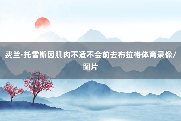 费兰·托雷斯因肌肉不适不会前去布拉格体育录像/图片