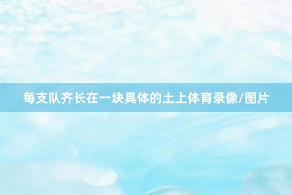 每支队齐长在一块具体的土上体育录像/图片