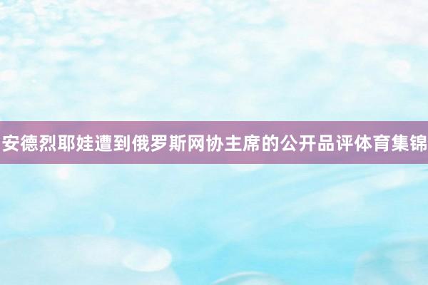 安德烈耶娃遭到俄罗斯网协主席的公开品评体育集锦