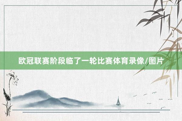 欧冠联赛阶段临了一轮比赛体育录像/图片
