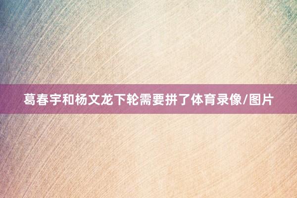 葛春宇和杨文龙下轮需要拼了体育录像/图片