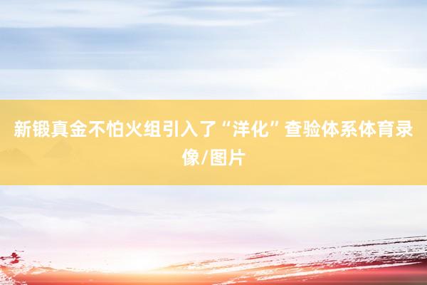 新锻真金不怕火组引入了“洋化”查验体系体育录像/图片