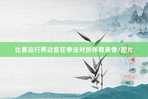 比赛运行两边皆在拳法对拼体育录像/图片