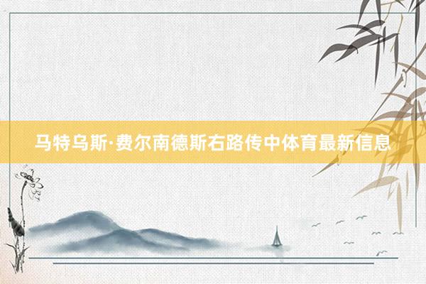 马特乌斯·费尔南德斯右路传中体育最新信息