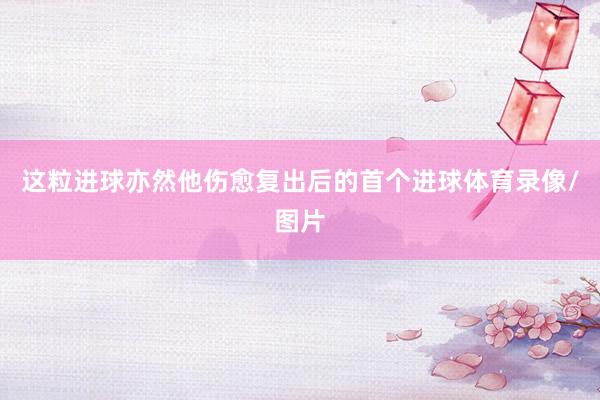 这粒进球亦然他伤愈复出后的首个进球体育录像/图片