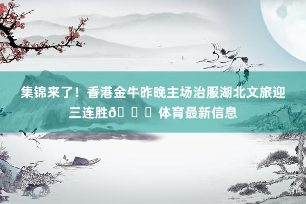 集锦来了！香港金牛昨晚主场治服湖北文旅迎三连胜🙌体育最新信息