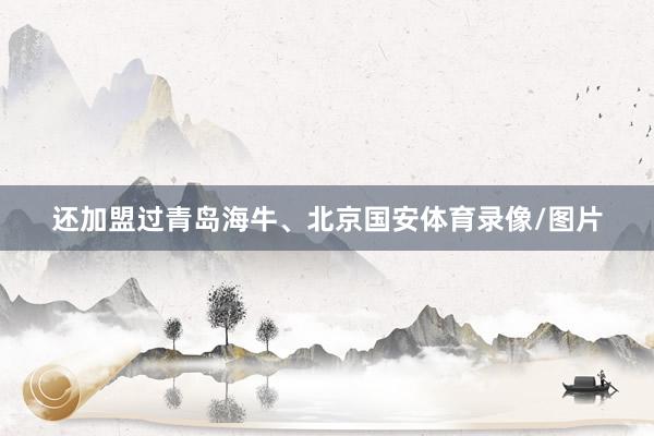 还加盟过青岛海牛、北京国安体育录像/图片