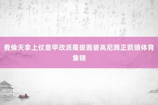 費倫天拿上仗意甲改派羅拔圖碧高尼踢正箭頭体育集锦