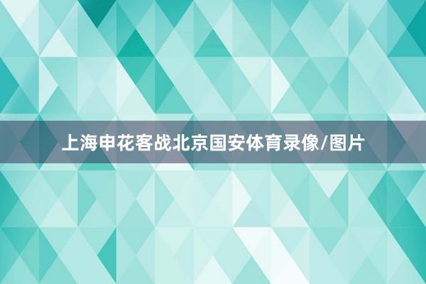 上海申花客战北京国安体育录像/图片