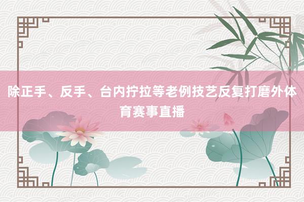 除正手、反手、台内拧拉等老例技艺反复打磨外体育赛事直播