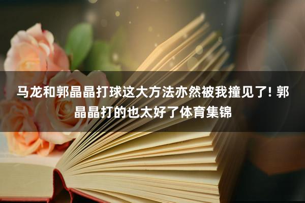 马龙和郭晶晶打球这大方法亦然被我撞见了! 郭晶晶打的也太好了体育集锦