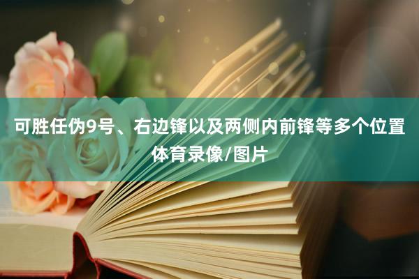 可胜任伪9号、右边锋以及两侧内前锋等多个位置体育录像/图片