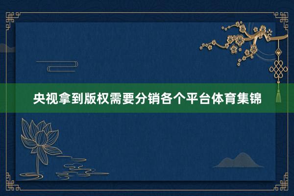 央视拿到版权需要分销各个平台体育集锦