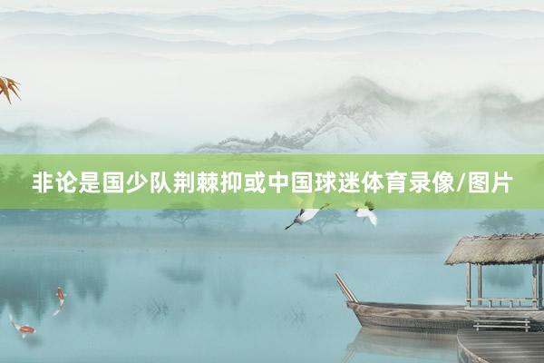 非论是国少队荆棘抑或中国球迷体育录像/图片