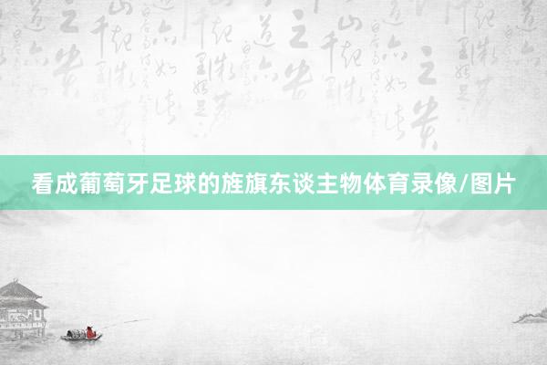 看成葡萄牙足球的旌旗东谈主物体育录像/图片